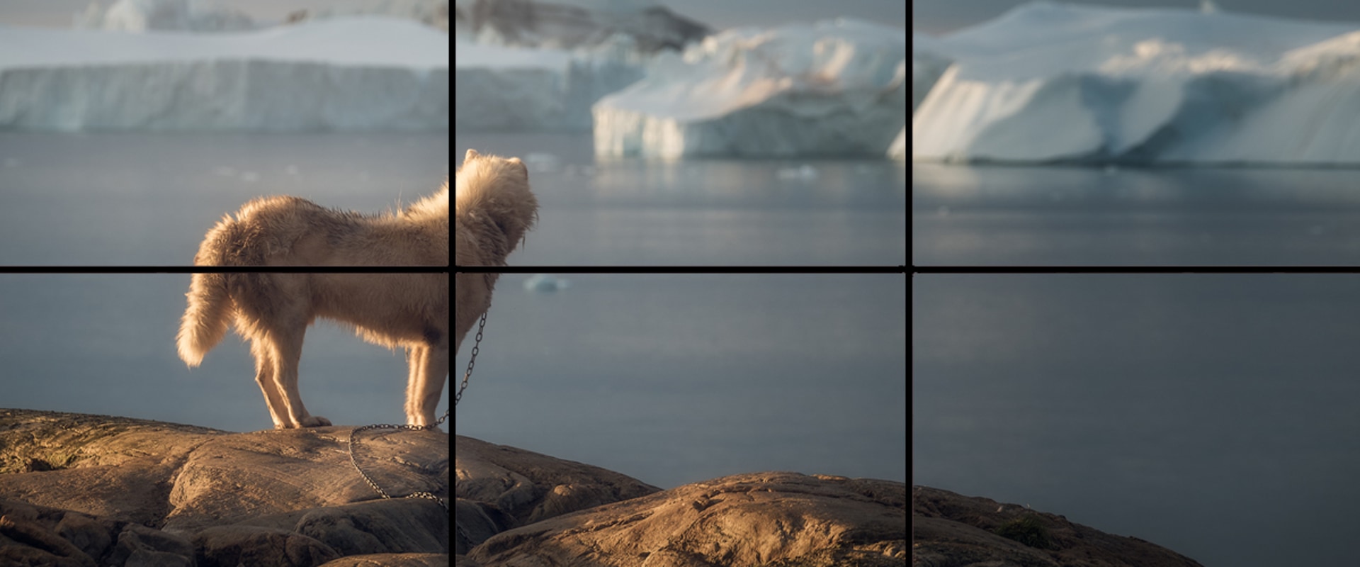 Understanding the Rule of Thirds for Photography Composition