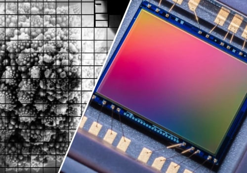 Understanding Megapixels in Digital Photography